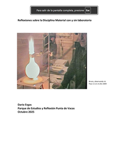 Dario Ergas - Reflexiones Disciplina Material con y sin laboratorio